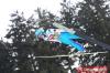 180 Vladislav Boyarintsev